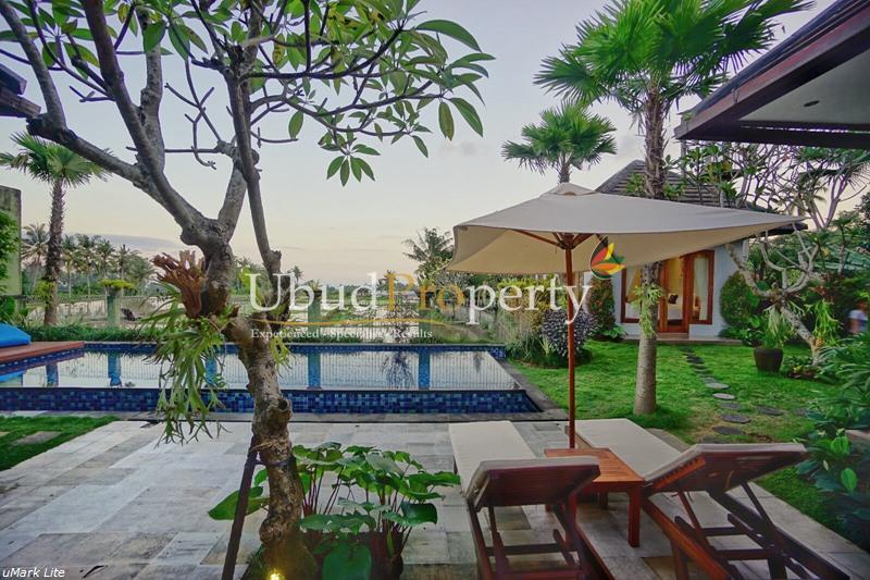 Villa and Land in Ubud